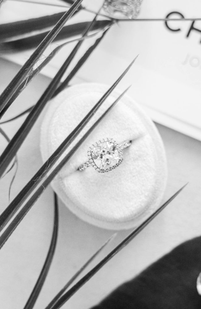 WSSRocabella©MH_006